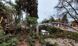 Fırtına Tavas’ta hayatı felç etti