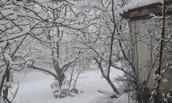 Çameli’nde kar kalınlığı 20 santime yaklaştı