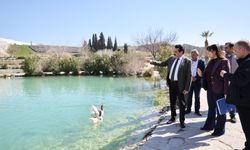 Kocaçukur’da Artık Emin Ellerde: Pamukkale'nin Yeni Yüzü İçin Geri Sayım!