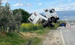 Bağa giren tır şaha kalktı