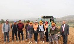 Poşusunu takan Kaymakam Kuran üreticilerle birlikte kekik dikti
