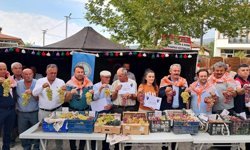 Avşar Üzümü coğrafi işaretle tescillendi