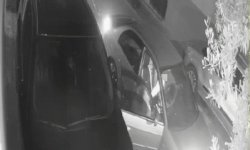 Otomobilden yol kenarına atılan kadının yardım çığlıkları