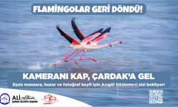 ÇARDAK BELEDİYE 29 NİSAN