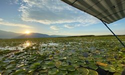 Işıklı Gölü’nde Tur Sezonu Erken Açıldı: Kuşlar ve Ekosistem Risk Altında