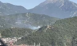 Fethiye'de Orman Yangını