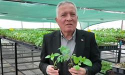 Honaz'da Tohum Takas Şenliği başlıyor