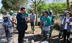 Pamukkale'de 823 Kilometrekarelik Alanda Yabani Ot Mesaisi