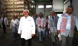 Türk Kirazı Tek Yön Çin Biletini Almak Üzere