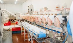 Denizli'de Beyaz Et Sektörün'de 13 Şirkete Soruşturma