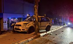 Denizli'de Kontrolden Çıkan Otomobil Ağaca Çarparak Durabildi: 1 Yaralı
