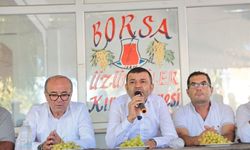 Başkan Çavuşoğlu, Buldan’da Üzüm Üreticilerinin Sorunlarını Dinledi