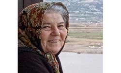 Denizli'de Domates Yüklü Tır İle Otomobil Çarpıştı: 1 Ölü, 2 Yaralı