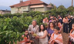 Çal'da Yağmur Dinmedi, Coşku Dinmedi! Bağbozumu'nda Kültür, Gelenek Ve Vefa Buluştu