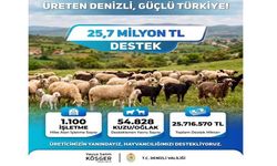 Küçükbaş Üreticisine 25,7 Milyon Liralık Can Suyu