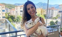 Kadın Yayanın Ölümüne Neden Olan Sürücünün Tutuksuz Yargılanmasına Tepki