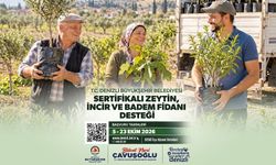 Denizli Büyükşehir'den Çiftçilere Fidan Desteği