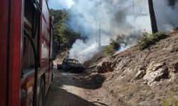 Denizli'de Orman Yolunda Alev Alan Otomobil Yangına Neden Oldu