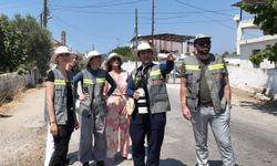 Adm ve Gdz Elektrik’ten Göçmen Kuşlara Güvenli Gökyüzü