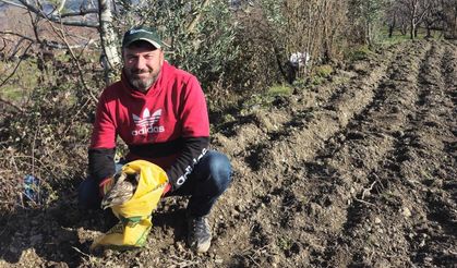 Tarlasında Bulduğu Yaralı Kartala Sahip Çıktı
