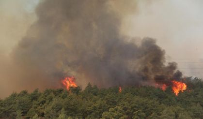 Denizli Valiliği'nden Yangın Uyarısı