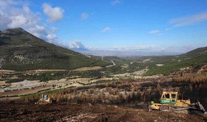 Honaz Dağı Milli Parkında yanan alanlar yeşillendiriliyor