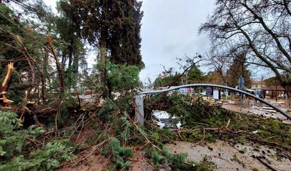 Fırtına Tavas’ta hayatı felç etti