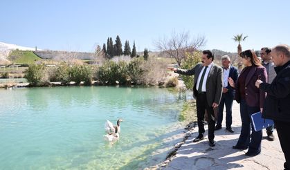 Kocaçukur’da Artık Emin Ellerde: Pamukkale'nin Yeni Yüzü İçin Geri Sayım!