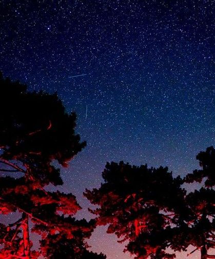 Topuklu Yaylası’nda Bilim Dolu Bir Hafta Sona Erdi
