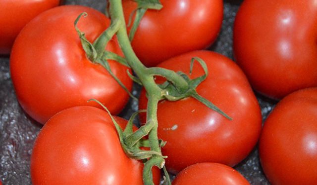 İşlenmiş domates kanserden koruyor!