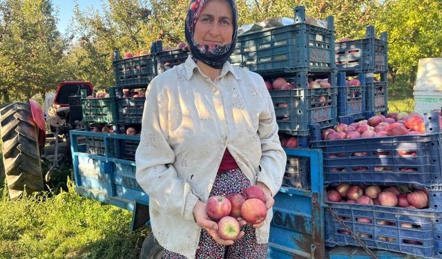 Buldan’da elmada verim yüz güldürdü