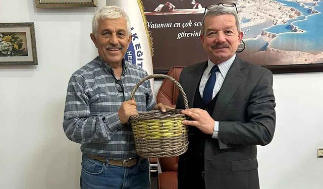 Hayıt dalları sepete dönüşüyor