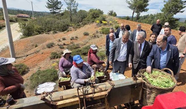 Başkan Pütün, Genel Başkan Yardımcısı Osmanağaoğlu ile birlikte Beyağaçlı çiftçilerle buluştu