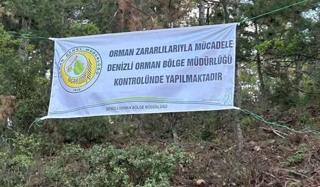Denizli'de ağaçları kurutan böceklerle mücadele başlatıldı