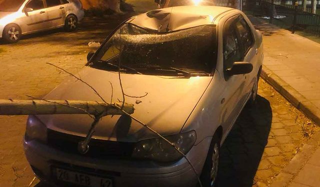 Denizli’de Fırtına Maddi Hasara Neden Oldu