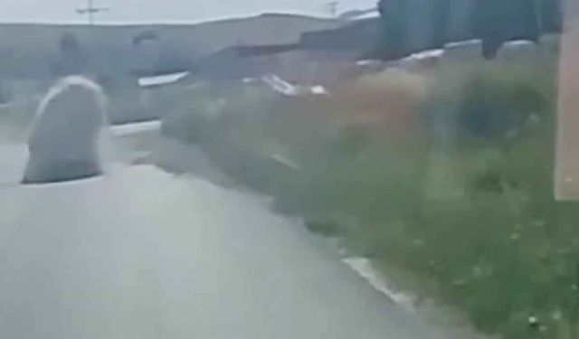 Tonlarca ağırlıktaki mermer bloğun altında ezilmekten saniyelerle kurtuldu
