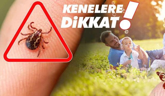 Havaların ısınmasıyla birlikte kenelerle temas riski arttı