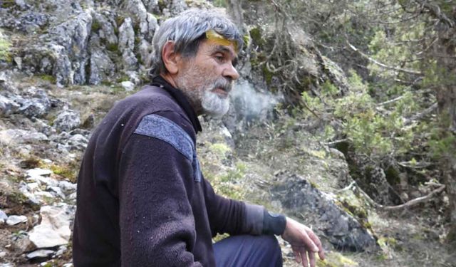 Mantar toplamaya giden dağcıdan 2 gündür haber alınamıyor
