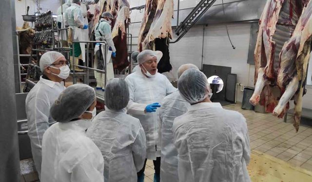Denizli’de veteriner hekimlere yönelik eğitim düzenlendi