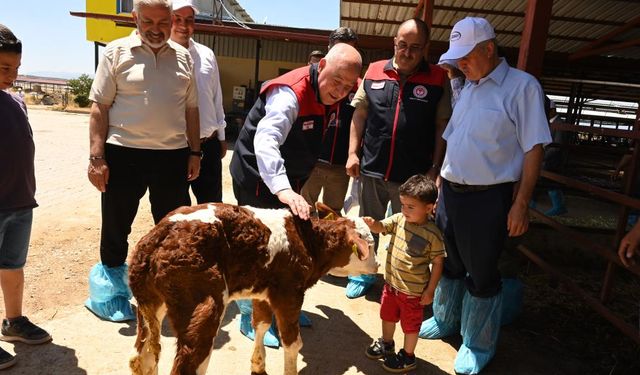 Denizli Hayvancılıkta Öne Çıkıyor