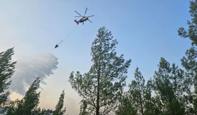 Denizli Acıpayam'da Çıkan Orman Yangını Kontrol Altına Alındı