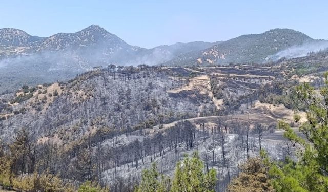 Denizli'de Yangına Sebep Oldukları İddia Edilen 3 Kişi Gözaltına Alındı