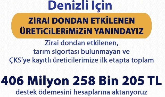 Zirai dondan etkilenen üreticilere 406 milyonluk destek