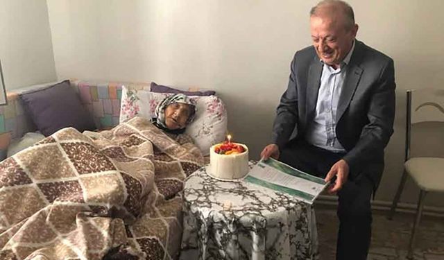 Kaymakam 2 padişah, 12 cumhurbaşkanı ve 27 başbakan gören çınara pasta kesti