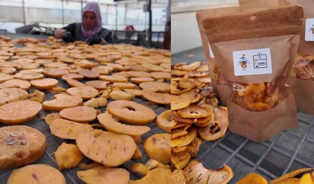 Honaz’ın meşhur cennet hurmasının cips olarak sofralara yolculuğu başladı