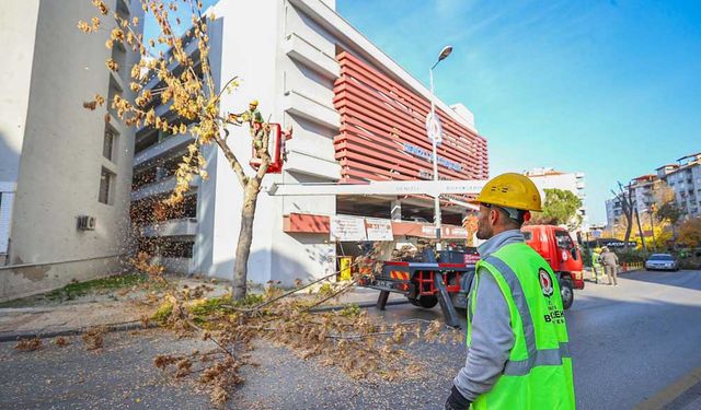 Büyükşehir’de park ve yeşil alanlarda budama çalışmaları sürüyor