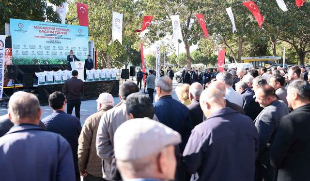 Denizli Büyükşehir’den üreticilere Macar fiği desteği