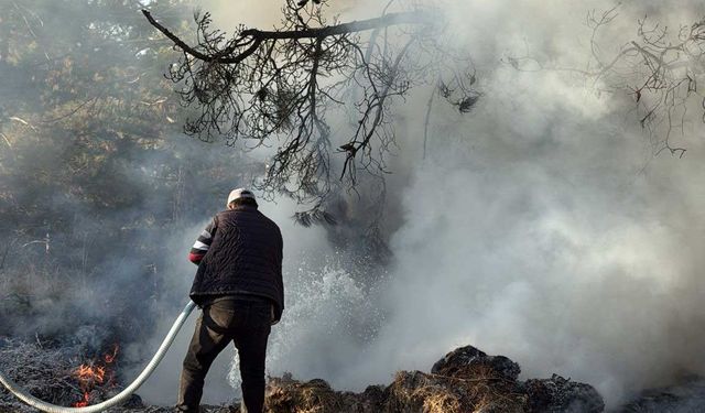 Ormanın yandığını gören sürücü, alevlere süt sıkarak yangının büyümesini önledi