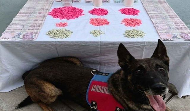 Denizli’de uyuşturucu tacirlerine operasyon düzenlendi