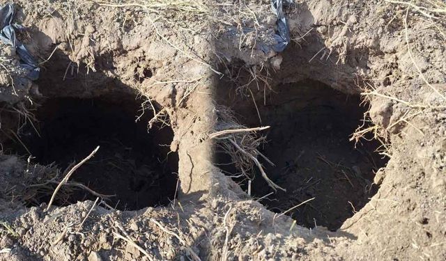 Tarlada oluşan obruk mahalleliyi korkuttu